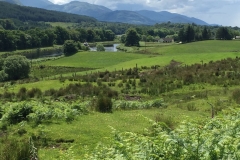 Achtergron Schotland